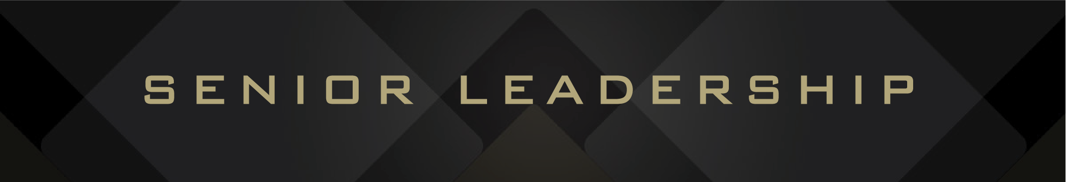 Senior Leadership Page Banner